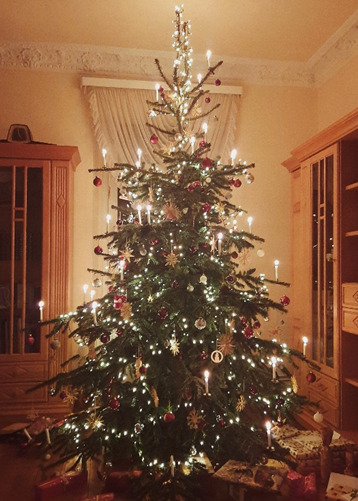 Weihnachtsbaum-Bringt-Licht